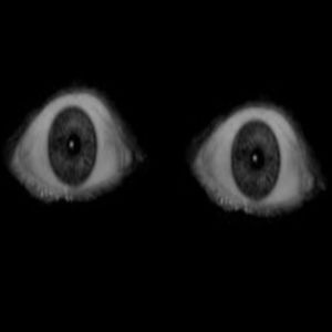 Meet your Posher, Jack